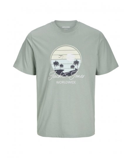 JACK&JONES . T-Shirt manica corta da uomo taglie forti