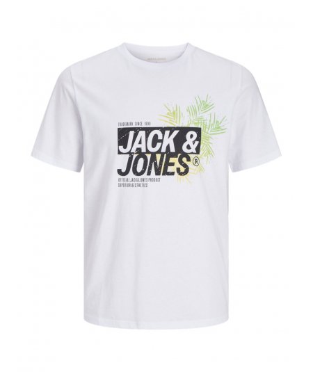 JACK&JONES . T-Shirt manica corta da uomo taglie forti